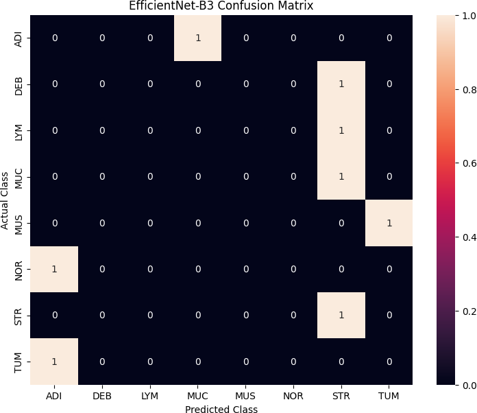 EfficientNet-B3 results: (a) confusion matrix; (b) classification report; (c) training and validation accuracy.