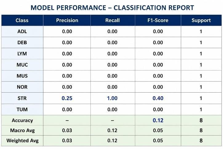 EfficientNet-B3 results: (a) confusion matrix; (b) classification report; (c) training and validation accuracy.
