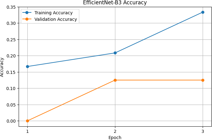EfficientNet-B3 results: (a) confusion matrix; (b) classification report; (c) training and validation accuracy.