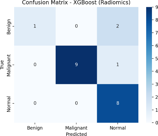 Test-set confusion matrices of the four evaluated models: (a) XGBoost (Radiomics), (b) Random Forest (Radiomics), (c) Deep Fusion, and (d) Ensemble.