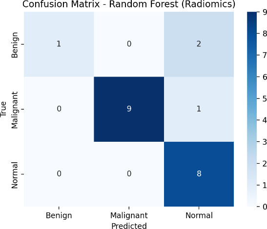 Test-set confusion matrices of the four evaluated models: (a) XGBoost (Radiomics), (b) Random Forest (Radiomics), (c) Deep Fusion, and (d) Ensemble.