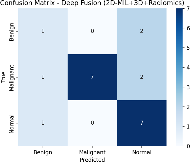 Test-set confusion matrices of the four evaluated models: (a) XGBoost (Radiomics), (b) Random Forest (Radiomics), (c) Deep Fusion, and (d) Ensemble.