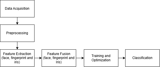 Framework for the EGWO-SVM biometric border security system.