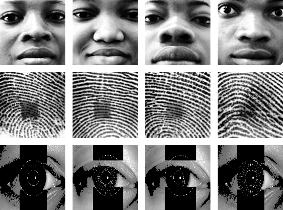 Samples of pre-processed images using histogram equalization: face (top row), fingerprint (middle row) and iris (bottom row).