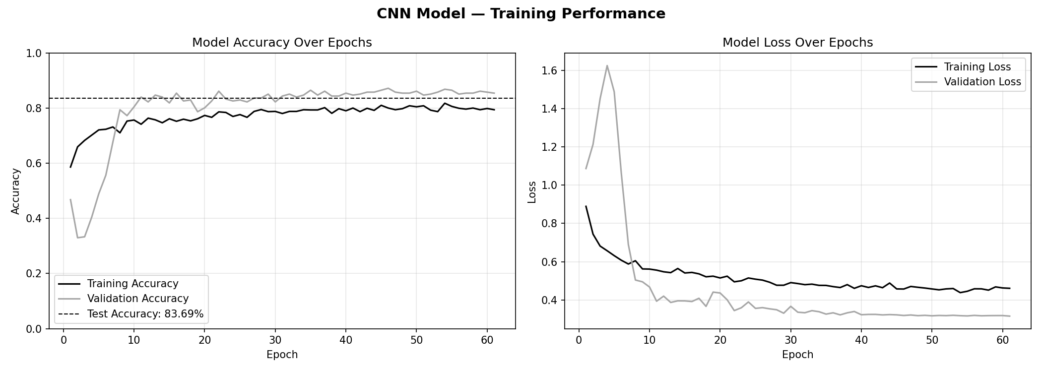 CNN training and validation accuracy and loss curves.