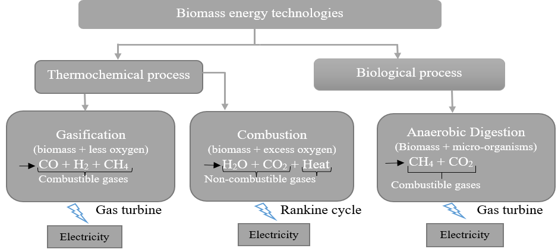 Biomass energy conversion technologies.