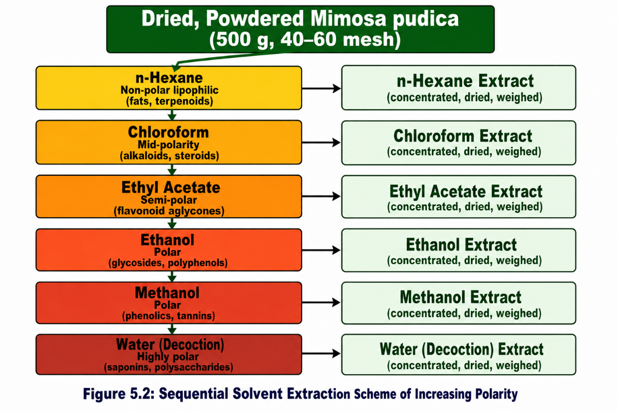 Sequential solvent extraction scheme applied to dried, powdered Mimosa pudica leaf material using six solvents of increasing polarity, with the principal target compound class recovered at each step.