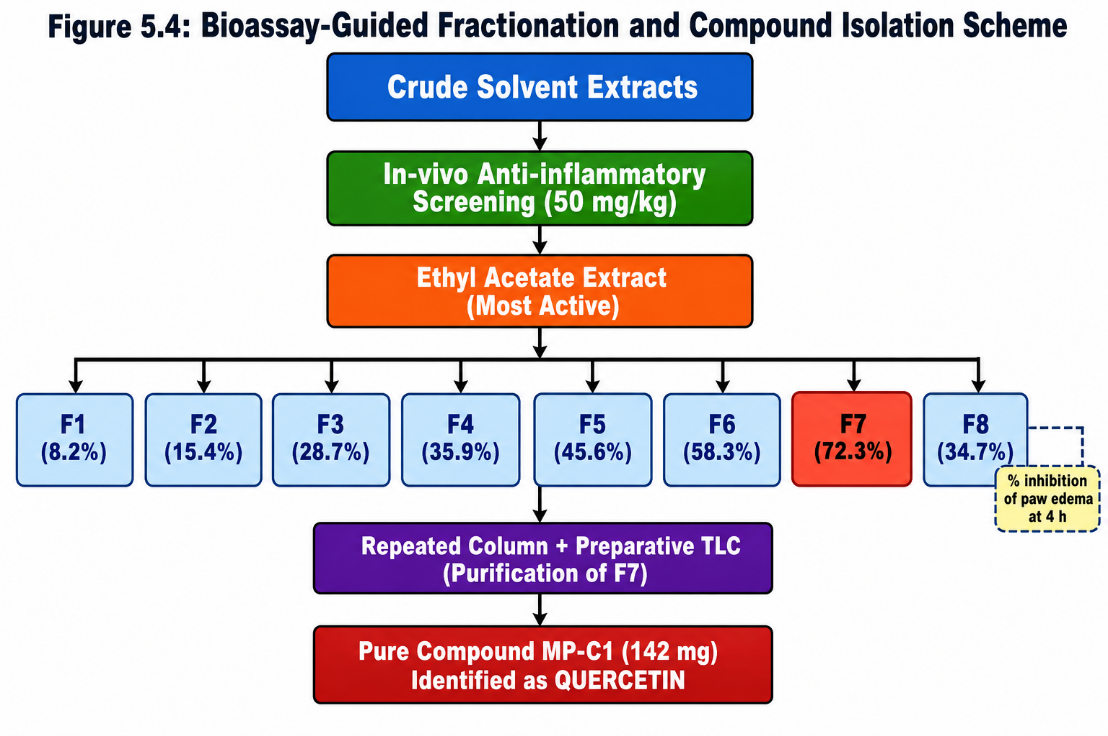 Bioassay-guided fractionation scheme leading to the isolation of pure compound MP-C1 from the ethyl acetate extract of Mimosa pudica. Values in parentheses indicate the percentage inhibition of carrageenan-induced paw oedema at four hours produced by each pooled sub-fraction at 50 mg/kg p.o.