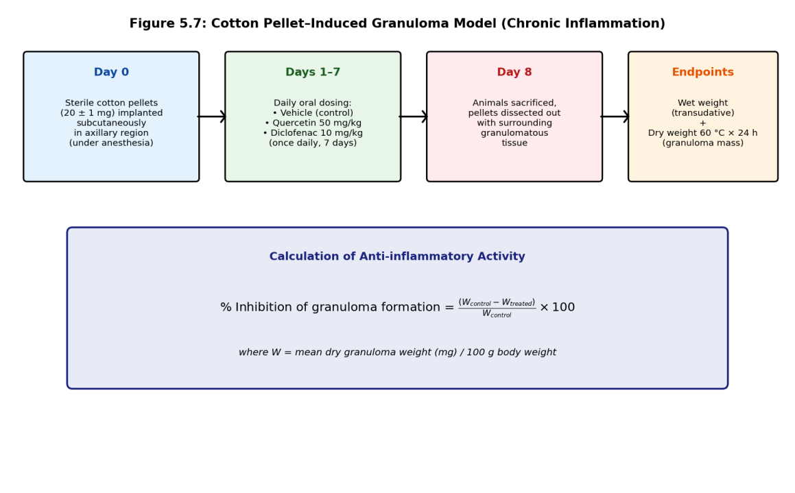 Cotton pellet-induced granuloma protocol used to assess chronic, proliferative anti-inflammatory activity, with the calculation applied to the dry granuloma weight endpoint.
