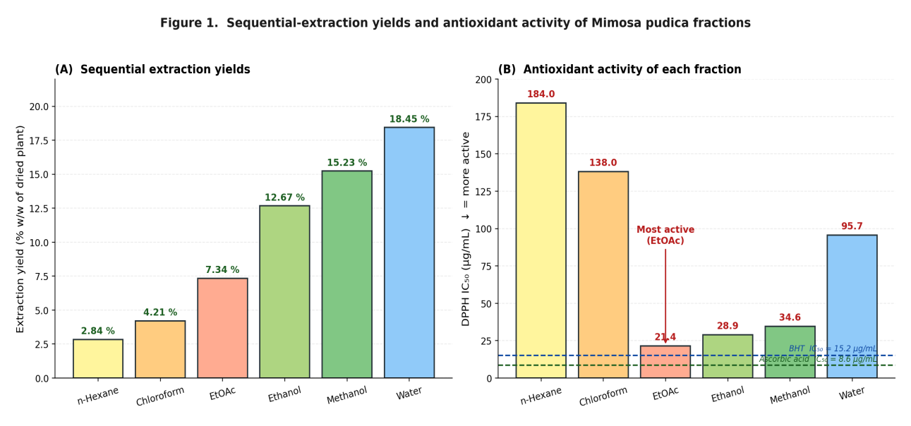 (A) Sequential extraction yields obtained from 250 g of authenticated Mimosa pudica powder using six solvents in ascending polarity. (B) DPPH free-radical scavenging IC50 of each fraction; the ethyl acetate extract (IC50 = 21.4 µg/mL) was the most potent and only fractionally less active than the natural-antioxidant standard ascorbic acid (8.6 µg/mL).