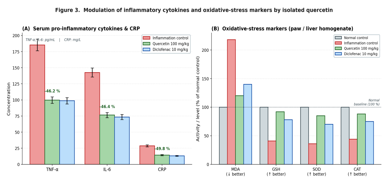 (A) Quercetin at 100 mg/kg lowered serum TNF-α, IL-6 and CRP by 46–50 %, an effect comparable to diclofenac 10 mg/kg. (B) Tissue oxidative-stress markers normalised to the normal-control baseline (100 %); quercetin restored MDA, GSH, SOD and catalase substantially closer to the normal range than did diclofenac, reflecting direct antioxidant action superimposed on cyclo-oxygenase- and NF-κB-related effects.