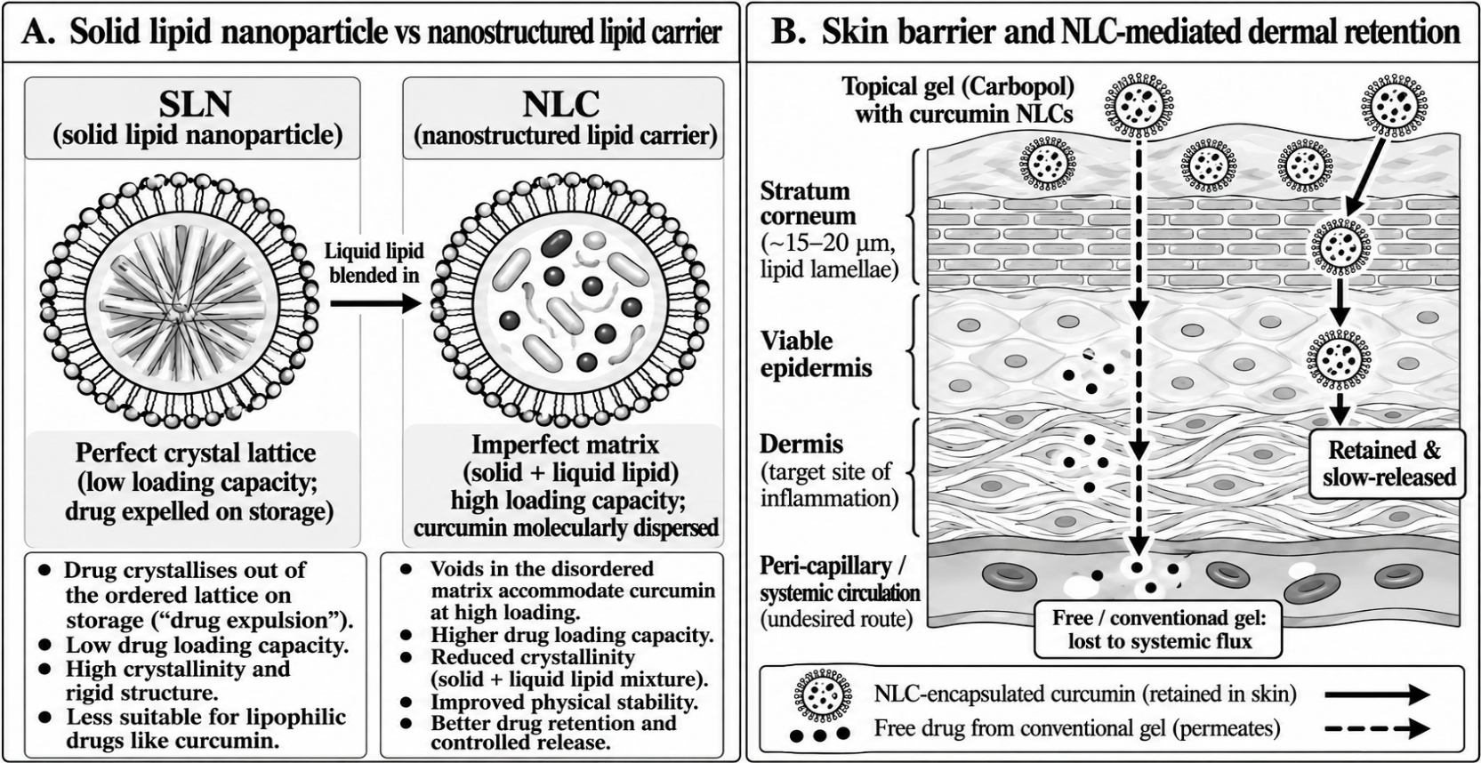 (A) Structural distinction between the ordered SLN lattice and the imperfect NLC matrix that permits higher curcumin loading. (B) Skin barrier and NLC-mediated dermal retention, contrasting the retained, slow-released NLC-encapsulated pathway with permeation and systemic loss of free drug from a conventional gel.