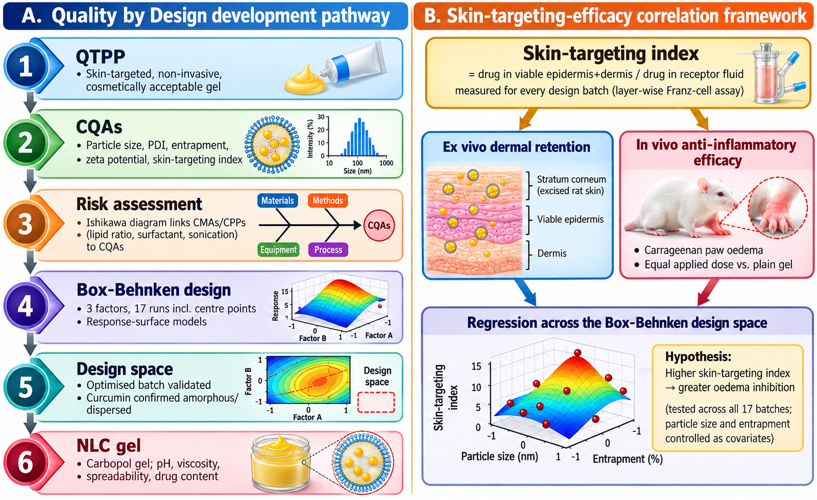 (A) Proposed Quality by Design development pathway, from Quality Target Product Profile through Box-Behnken optimisation to the finished NLC gel. (B) Skin-targeting-efficacy correlation framework linking the skin-targeting index to ex vivo dermal retention and in vivo anti-inflammatory efficacy across the design space.