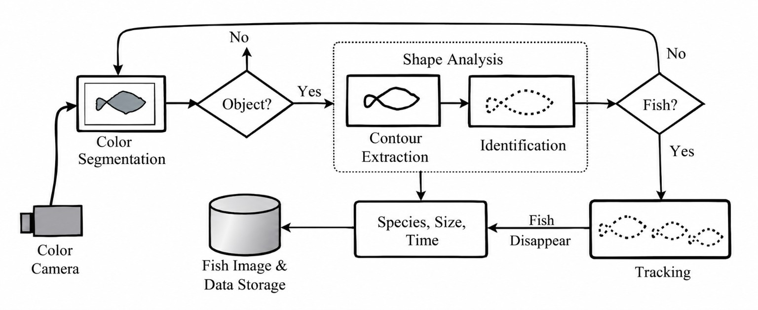 Architecture of the proposed underwater detection system.