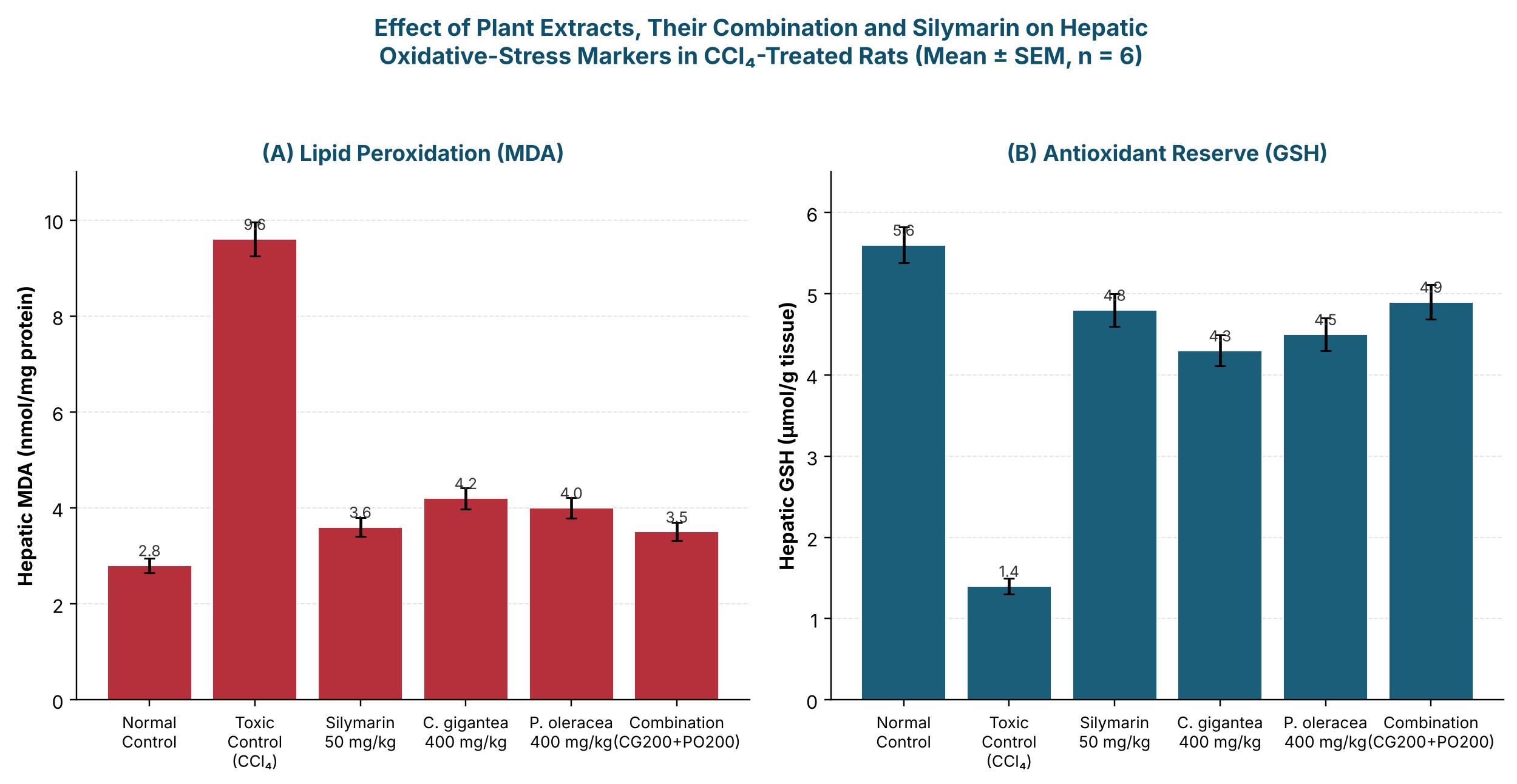 Effect of Calotropis gigantea and Portulaca oleracea extracts (400 mg/kg each), their combination and silymarin (50 mg/kg) on hepatic malondialdehyde (MDA) and reduced glutathione (GSH) in CCl4-treated Wistar rats (mean ± SEM, n = 6).