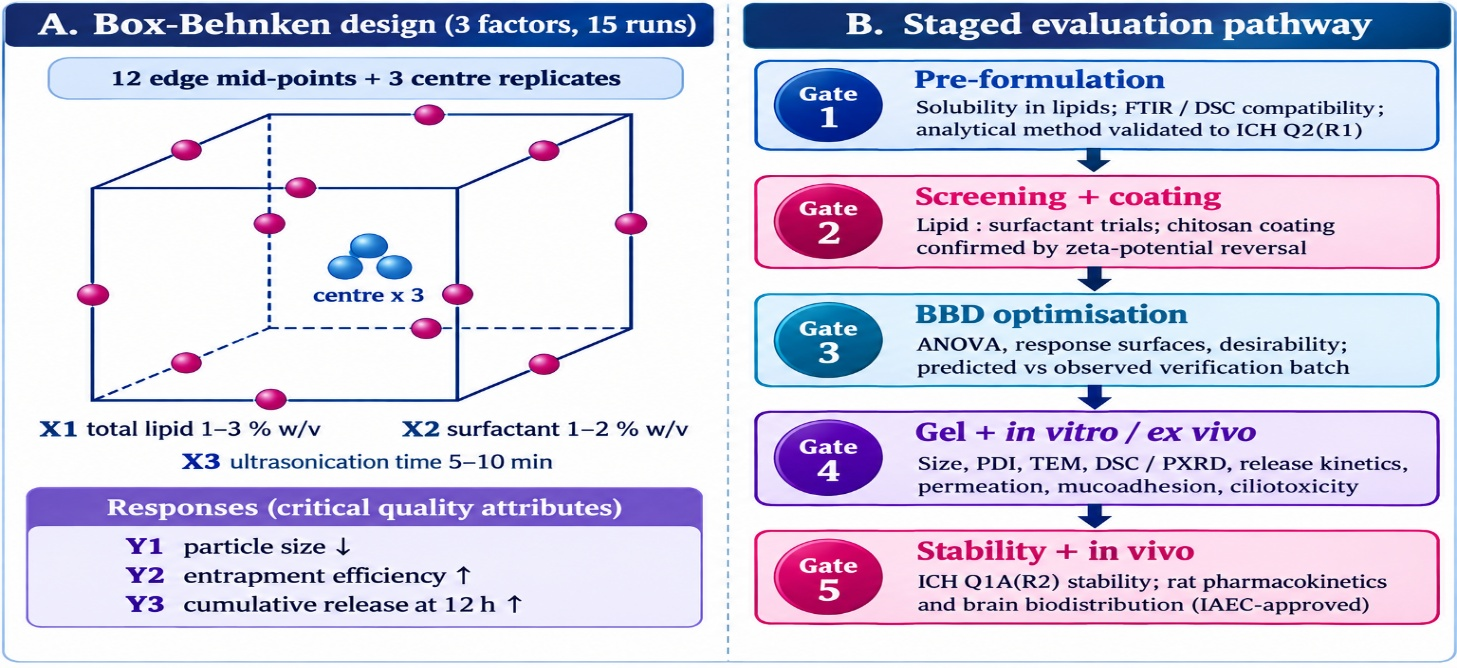 (A) Geometry of a three-factor Box–Behnken design, with 12 edge mid-point runs (magenta) and three centre replicates (blue) [28,29]. (B) Proposed staged evaluation pathway from pre-formulation to in vivo study [15,26,30]. Schematic prepared by the authors.