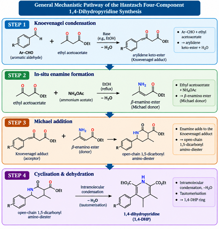 General mechanistic pathway of the Hantzsch four-component 1,4-dihydropyridine synthesis: Knoevenagel condensation, in-situ enamine formation, Michael addition and intramolecular cyclisation/dehydration (constructed by the authors from mechanistic descriptions in refs. [27, 34]).