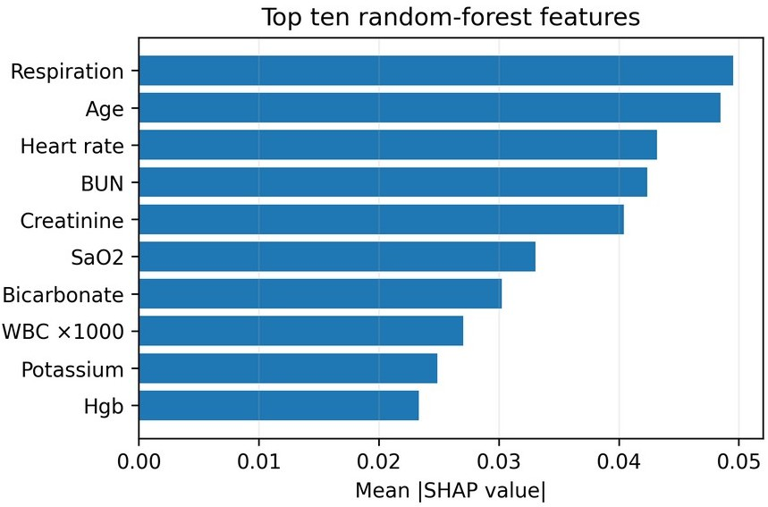 Top ten random-forest features ranked by mean absolute SHAP value.